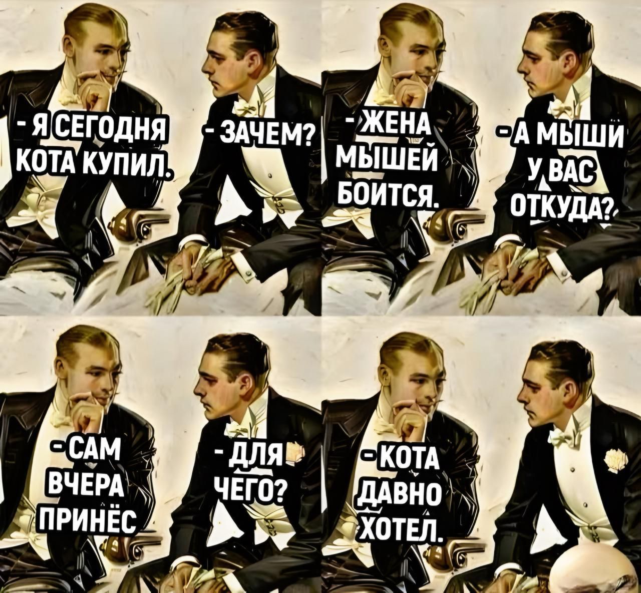 Я сегодня кота купил.
- Зачем? 
- Жена мышей боится.
- А мышей у вас откуда?
- Сам вчера принёс.
- Для чего?
- Кота давно хотел.