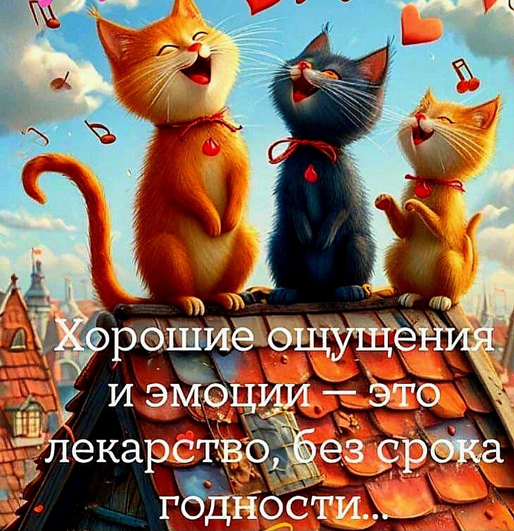 Хорошие ощущения и эмоции — это лекарство, без срока годности...