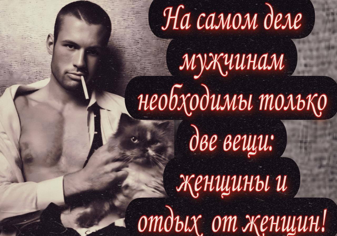 На самом деле мужчинам необходимы только две вещи: женщины и отдых, от женщин!