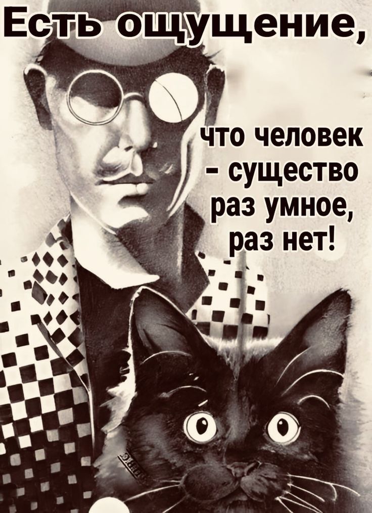 Есть ощущение,
что человек - существо раз умное, раз нет!