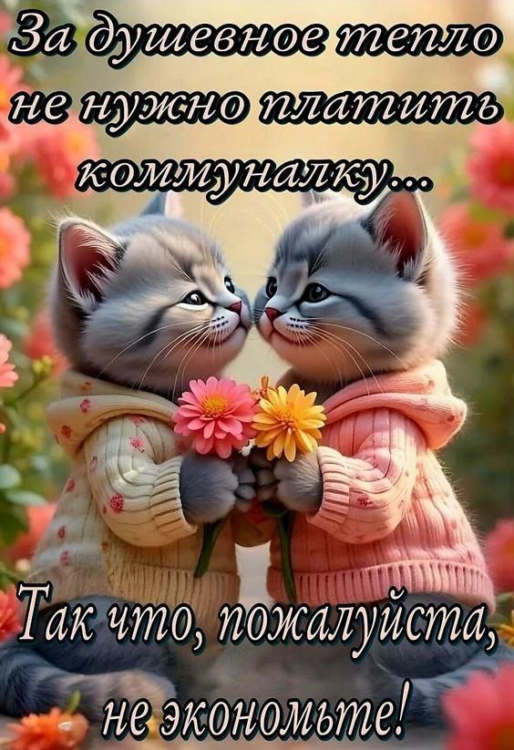 За душевное тепло не нужно платить коммуналку... Так что, пожалуйста, не экономьте!