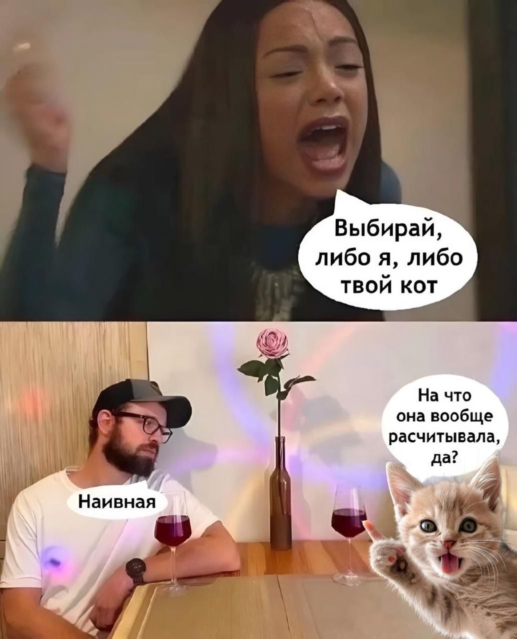 Выбирай, либо я, либо твой кот. На что она вообще рассчитывала, да?