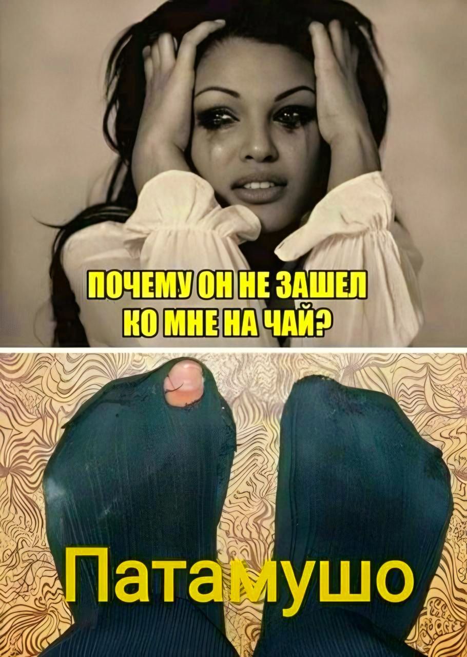 ПОЧЕМУ ОН НЕ ЗАШЕЛ КО МНЕ НА ЧАЙ? Патамушо