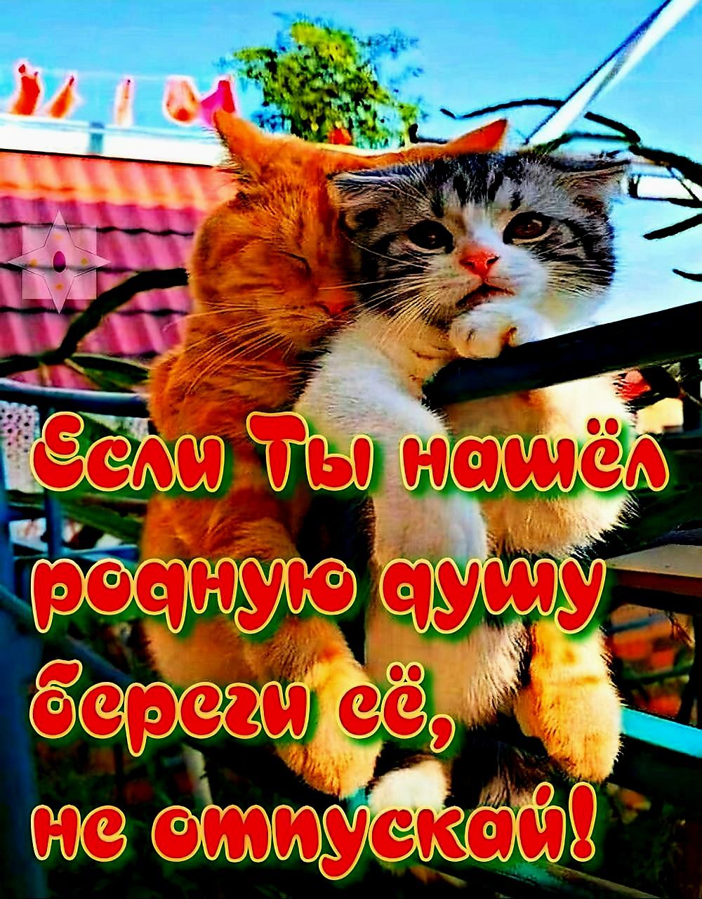Если Ты нашëл родную душу береги её, не отпускай!