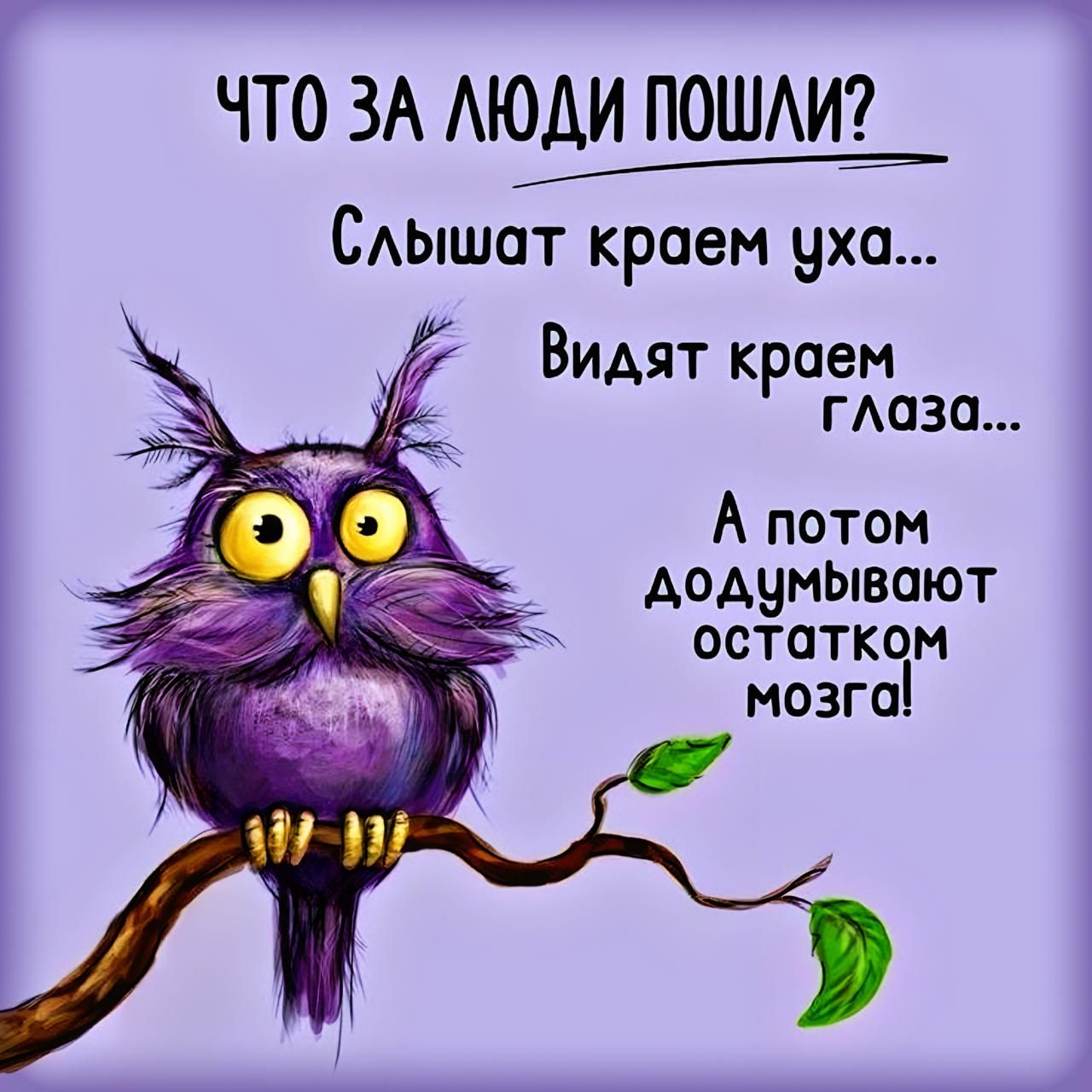 ЧТО ЗА ЛЮДИ ПОШЛИ?
Слышат краем уха...
Видят краем глаза...
А потом додумывают остатком мозга!