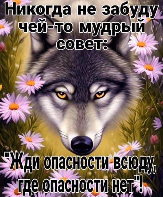 Никогда не забуду чей-то мудрый совет:
