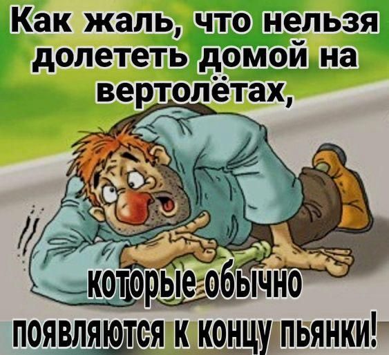 Как жаль, что нельзя долететь домой на вертолётах, которые обычно появляются к концу пьянки!