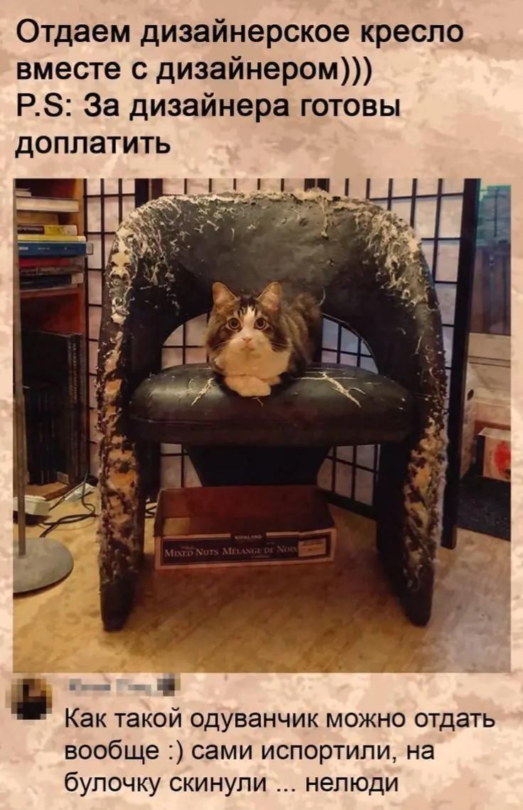 Отдаем дизайнерское кресло вместе с дизайнером))) P.S: За дизайнера готовы доплатить
Как такой одиночник можно отдать вообще :) сами испортили, на булочку скинули ... нелюди