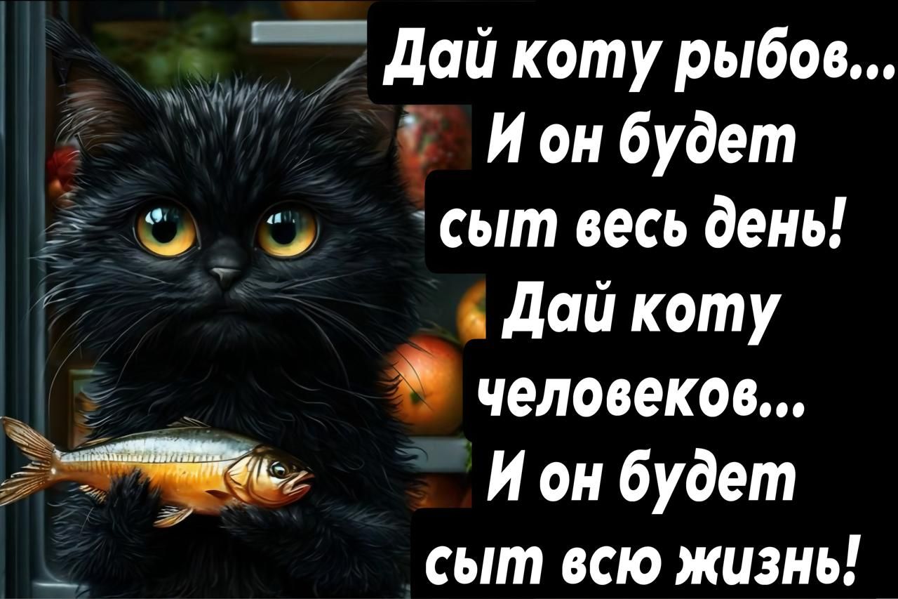 Дай коту рыбов... И он будет сыт весь день! Дай коту людей... И он будет сыт всю жизнь!