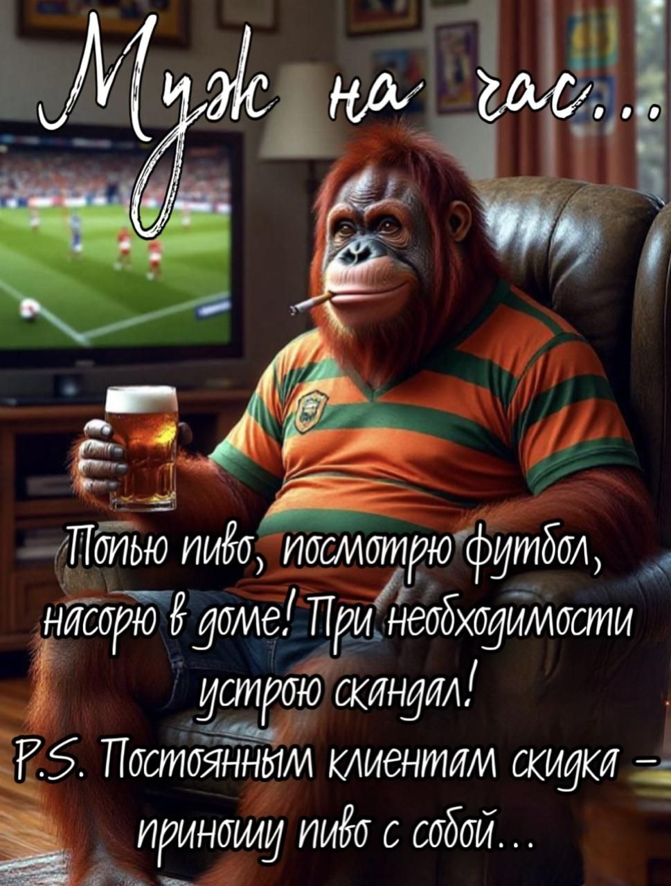 Муж на час... Пью пиво, посмотрю футбол, насорю в доме! При необходимости устрою скандал! P.S. Постоянным клиентам скидка - принесу пиво с собой...