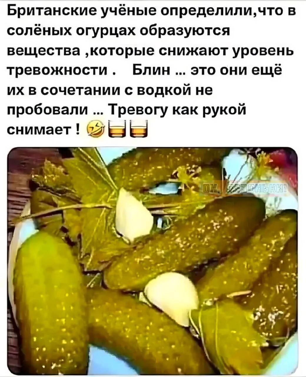 Британские учёные определили, что в солёных огурцах образуются вещества, которые снижают уровень тревожности. Блин ... это они ещё их в сочетании с водкой не пробовали ... Тревогу как рукой снимает ! 🤣🍻
