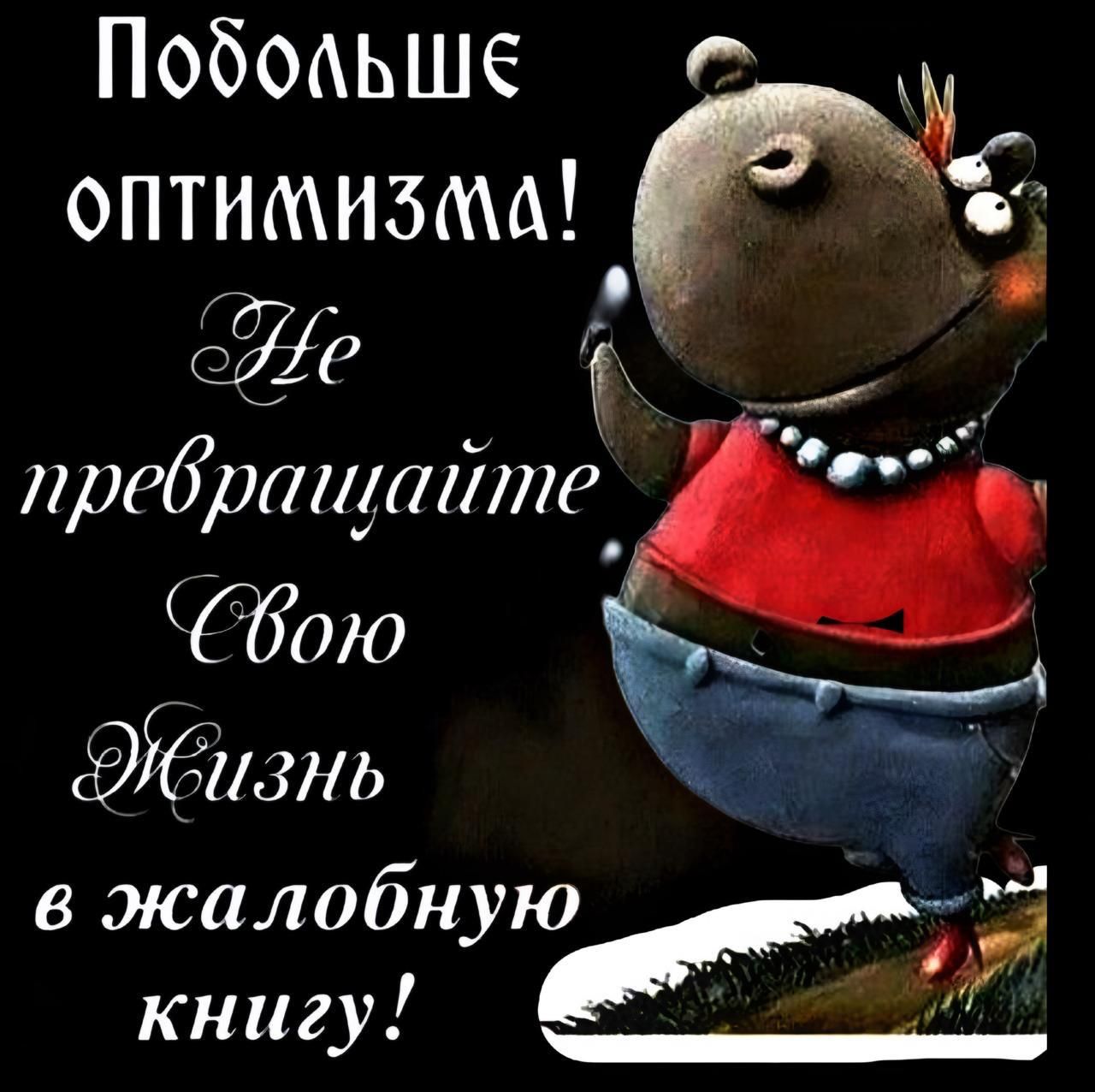 Подольше оптимизма! Не превращайте свою Жизнь в жалобную книгу!