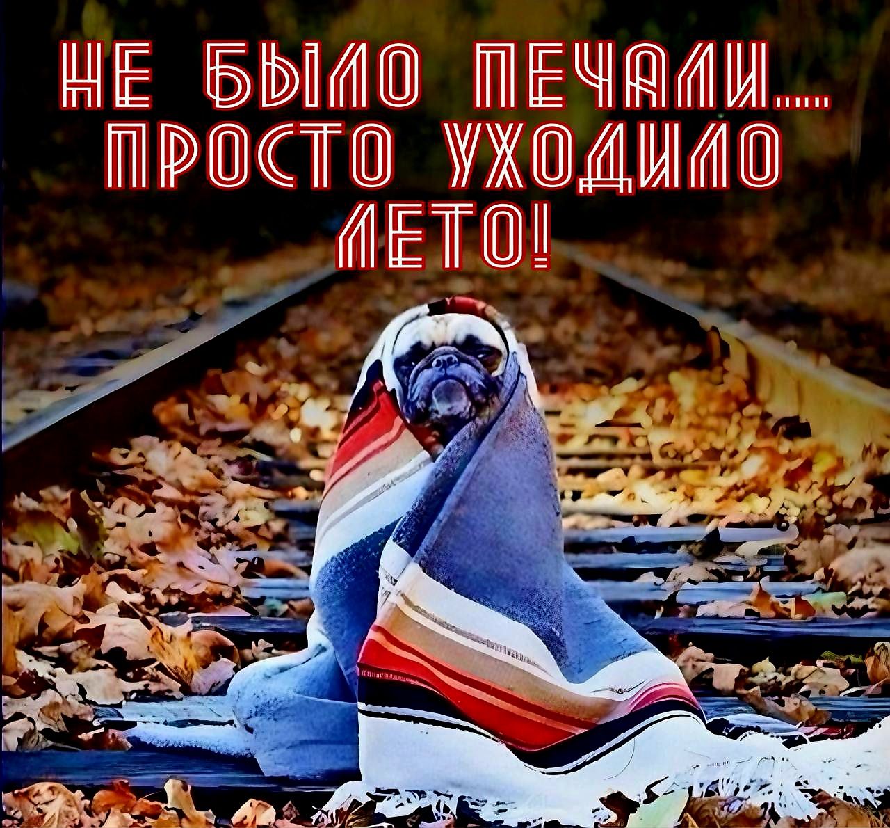 НЕ БЫЛО ПЕЧАЛИ.... ПРОСТО УХОДИЛО ЛЕТО!