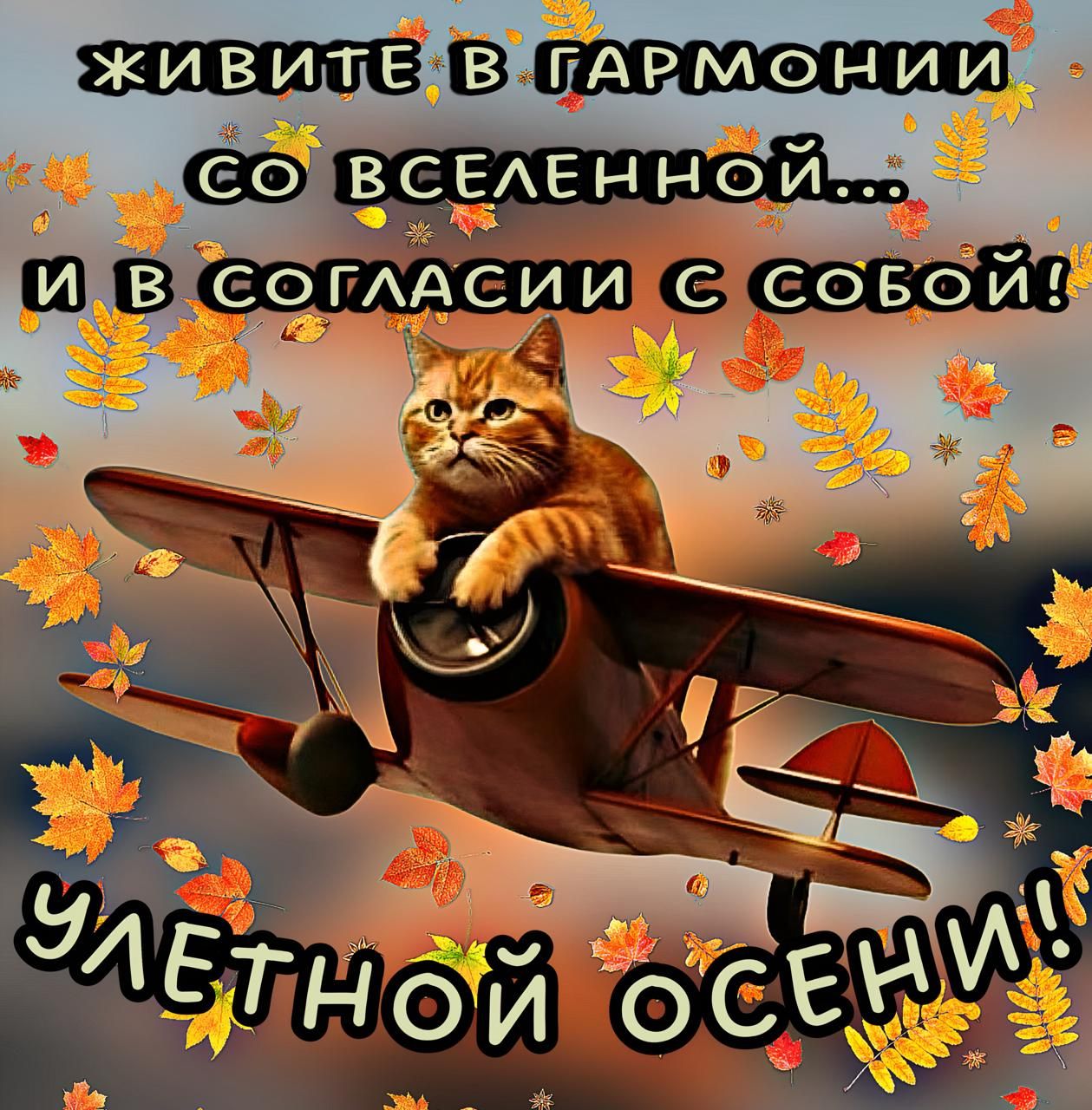 живите в гармонии со вселенной... и в согласии с собой! УЛЕТНОЙ ОСЕНИ!!
