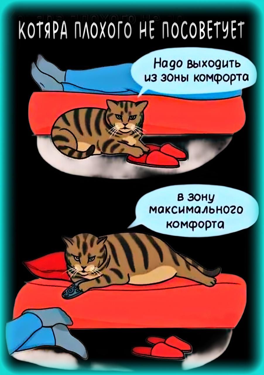 Надо выходить из зоны комфорта
в зону максимального комфорта
