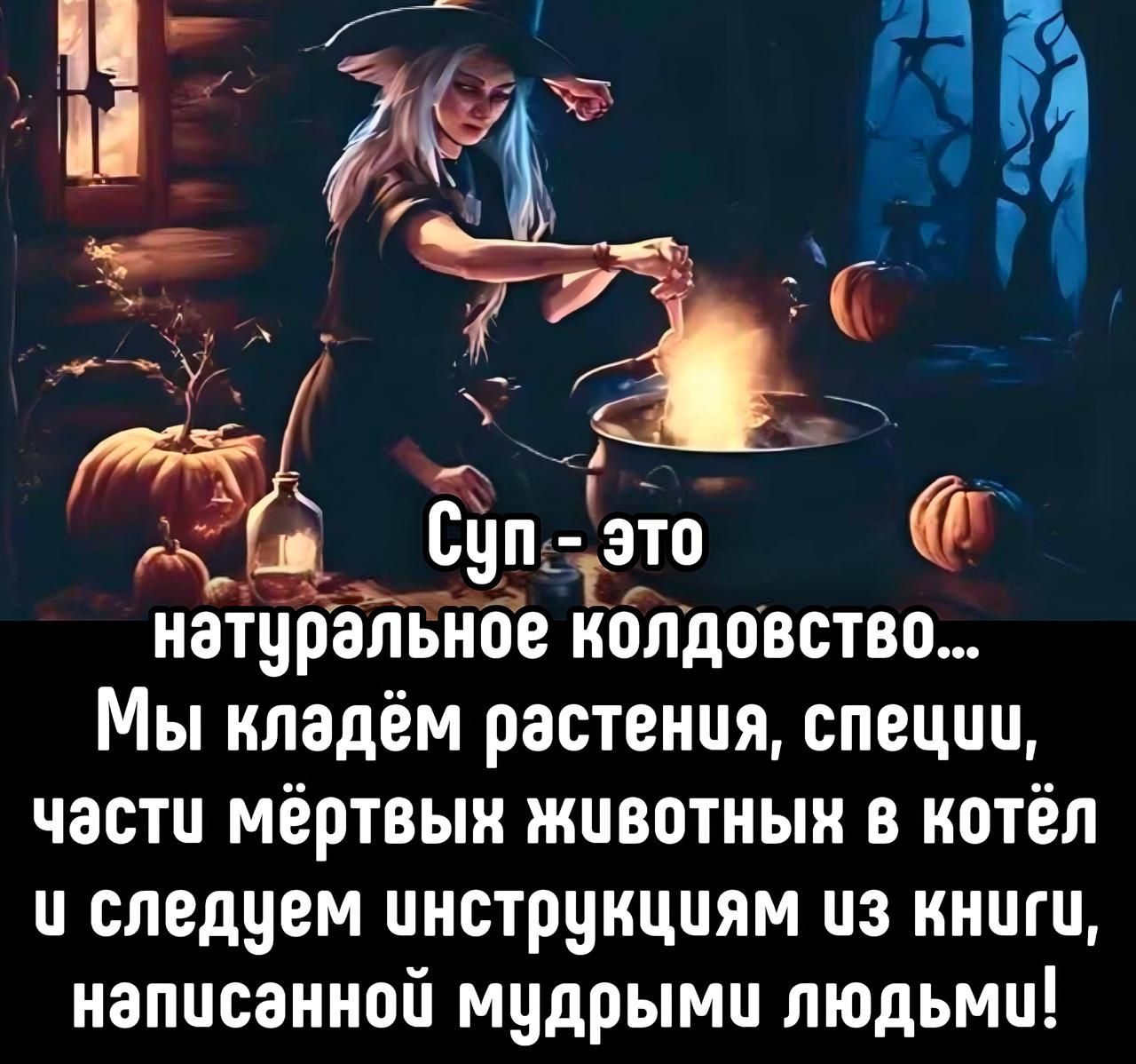 Суп - это натуральное колдовство... Мы кладём растения, специи, части мёртвых животных в котёл и следуем инструкциям из книги, написанной мудрыми людьми!