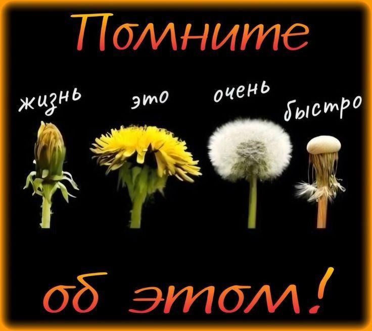 Помните
жизнь это очень быстро
об этом!