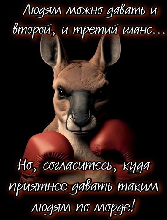 Людям можно давать и второй, и третий шанс... Но, согласитесь, куда приятнее давать таким людям по морде!