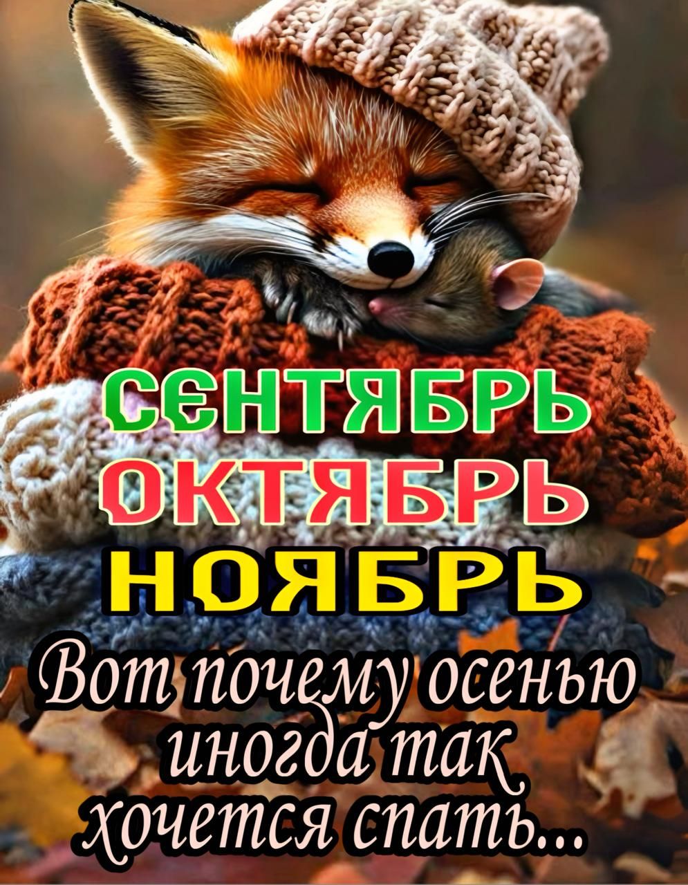 СЕНТЯБРЬ ОКТЯБРЬ НОЯБРЬ Вот почему осенью иногда так хочется спать...