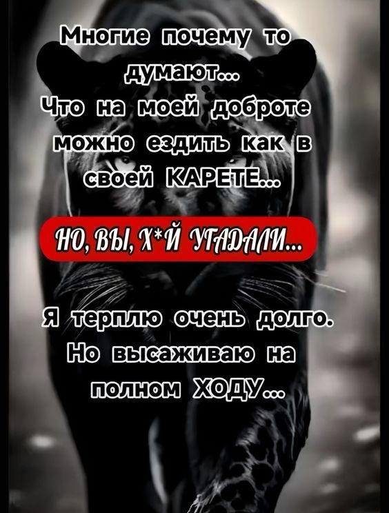 Многие почему то думают...
Что на моей доброте можно ездить как в своей КАРПЕТЕ...
НО, ВЫ, Х*Й УГАДАЛИ...
Я терплю очень долго. Но высаживаю на полном ХОДУ...