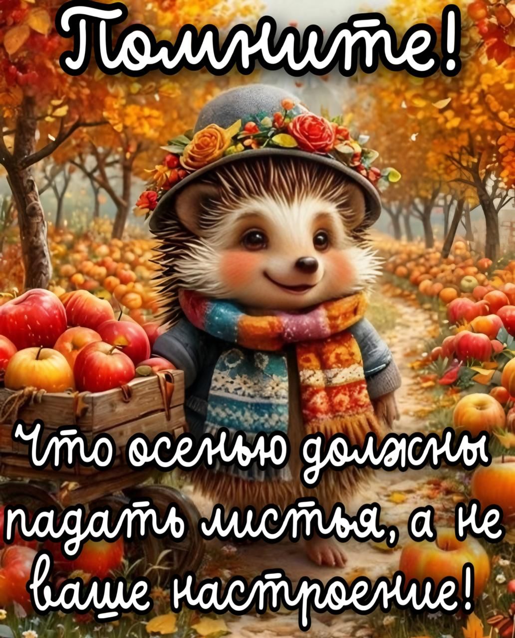 Помните! Что осенью должны падать листья, а не ваше настроение!