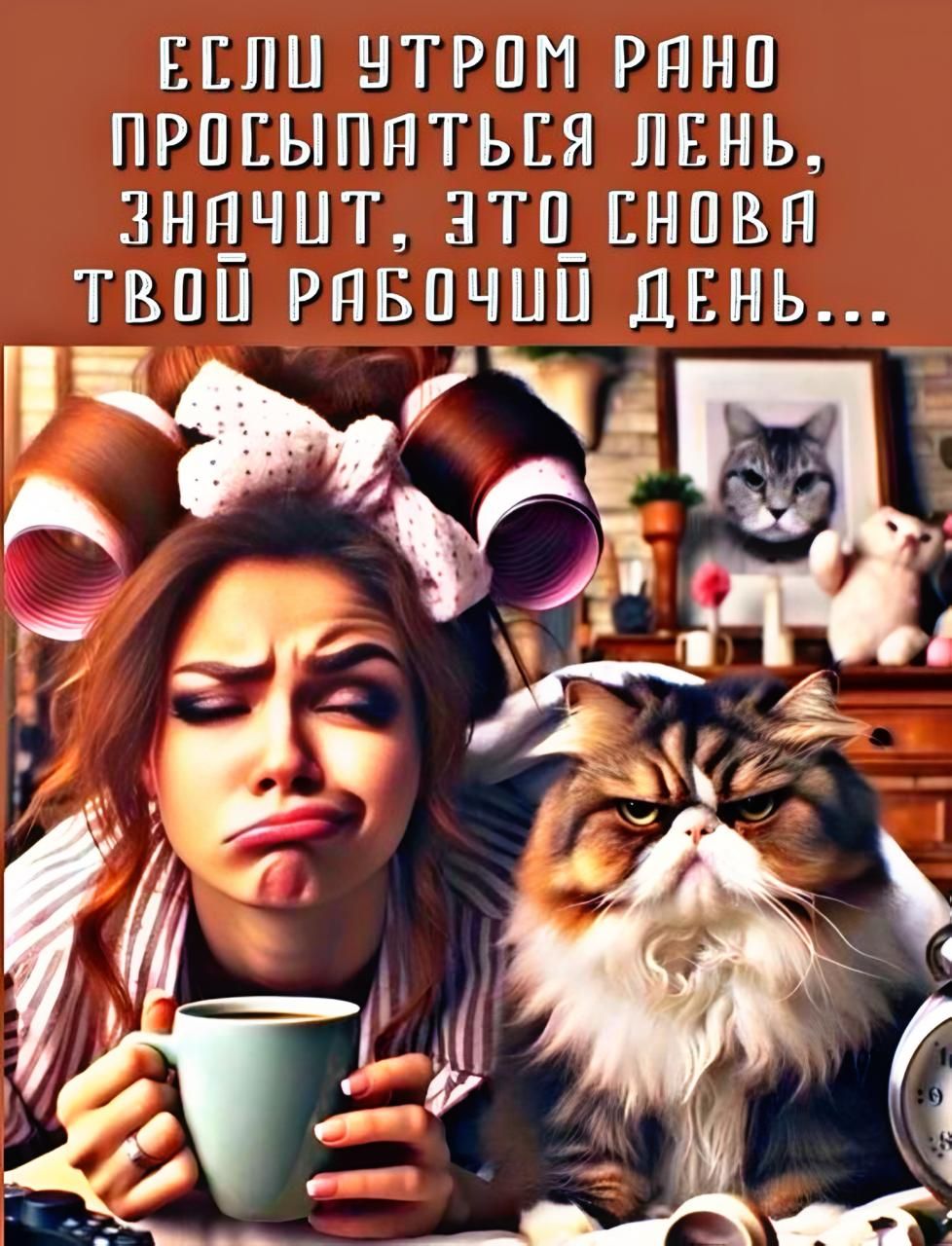 ЕСЛИ УТРОМ РАНО ПРОСЫПАТЬСЯ ЛЕНЬ, ЗНАЧИТ, ЭТО СНОВА ТВОЙ РАБОЧИЙ ДЕНЬ...
