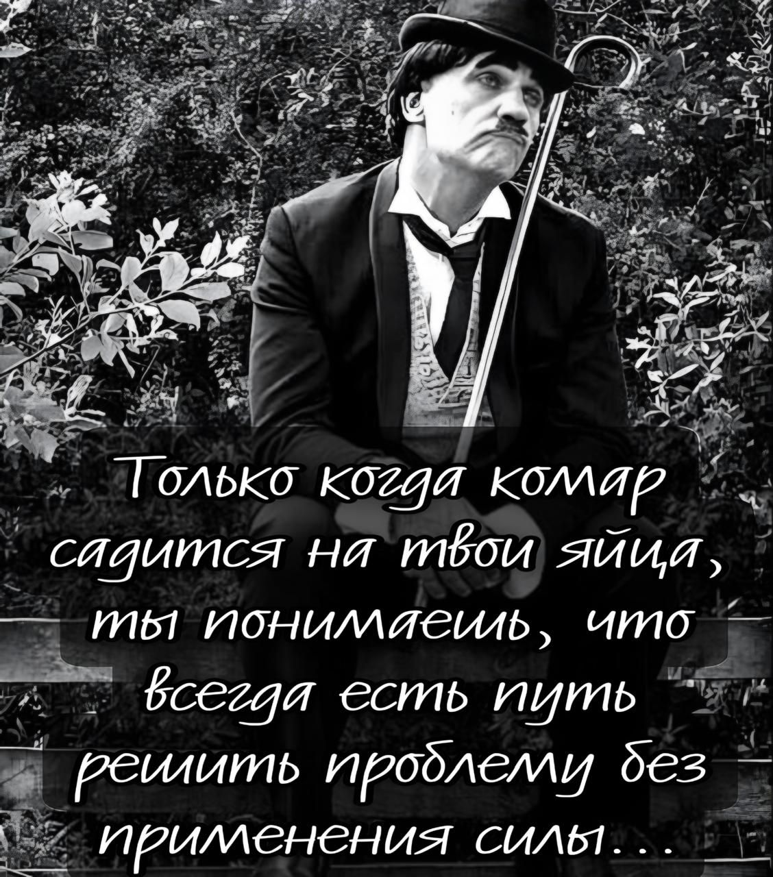 Только когда комар садится на твои яйца, ты понимаешь, что всегда есть путь решить проблему без применения силы...