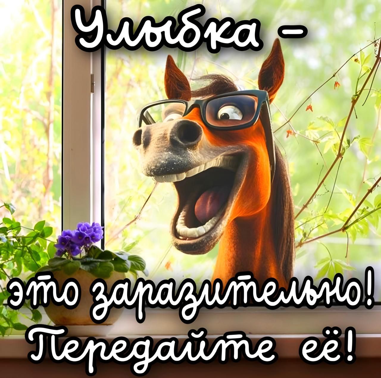 Улыбка – это заразительно! Передайте её!