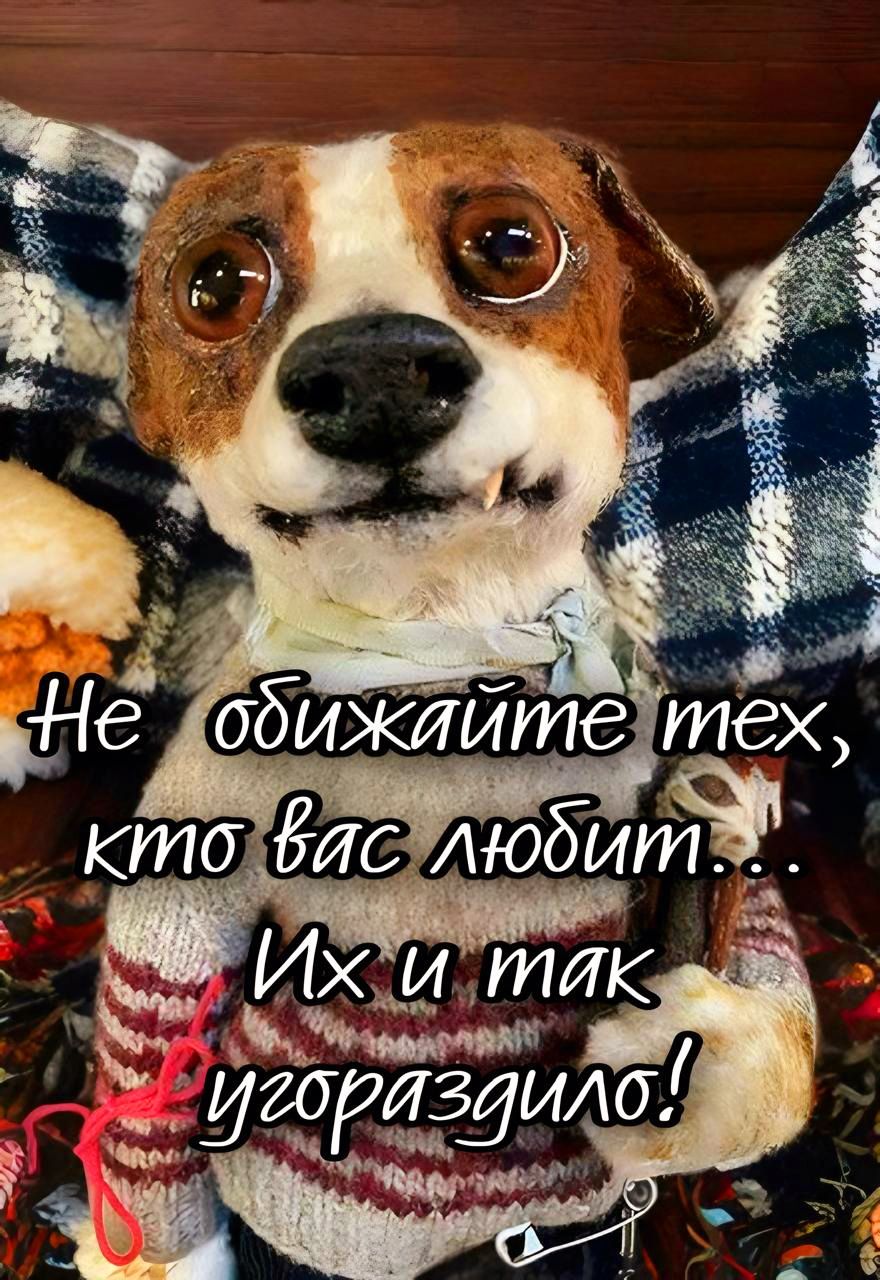 Не обижайте тех, кто вас любит... Их и так угорзило!