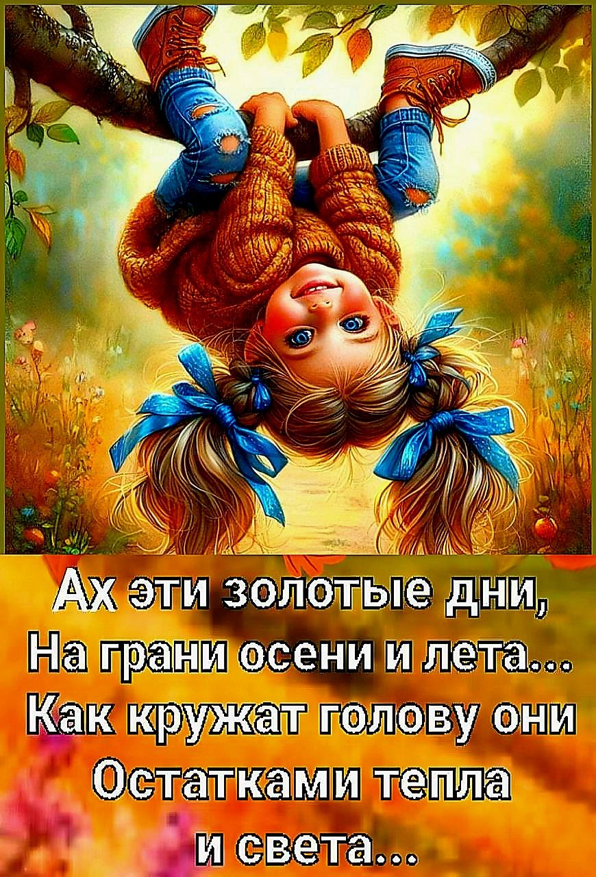 Ах эти золотые дни, На грани осени и лета... Как кружат голову они Остатками тепла и света...