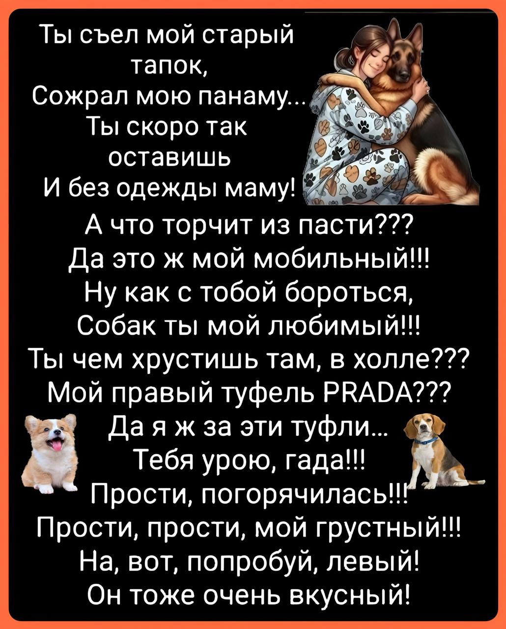 Ты съел мой старый тапок, Сожрал мою панаму... Ты скоро так оставишь И без одежды маму! А что торчит из пасти??? Да это ж мой мобильный!!! Ну как с тобой бороться, Собак ты мой любимый!!! Ты чем хрустишь там, в холле??? Мой правый туфель PRADA??? Да я ж за эти туфли... Тебя урою, гадА!!! Прости, погорячилась!!! Прости, прости, мой грустный!!! Ну вот, попробуй, левый! Он тоже очень вкусный!