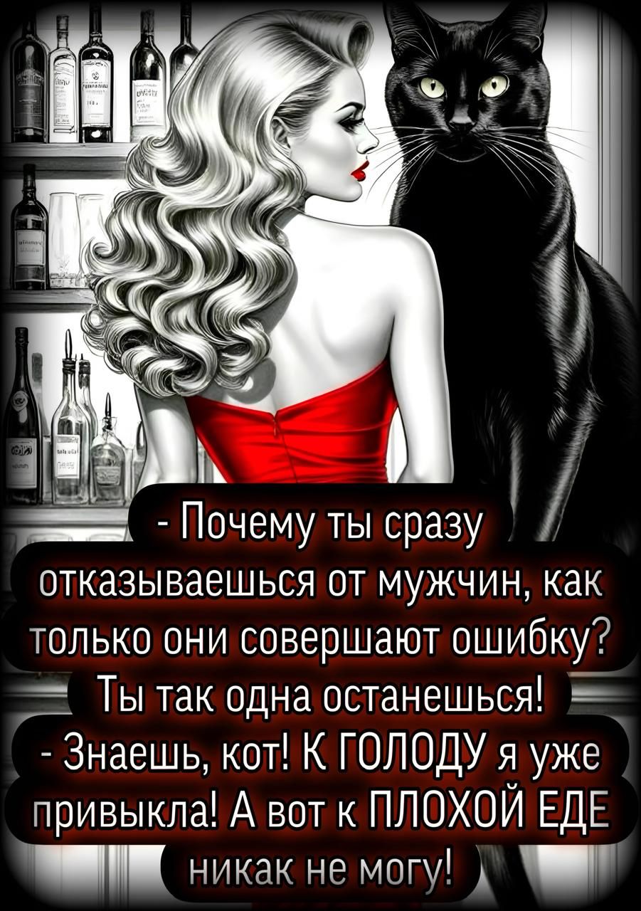 - Почему ты сразу отказываешься от мужчин, как только они совершают ошибку? Ты так одна останешься!
- Знаешь, кот! К ГОЛОДУ я уже привыкла! А вот к ПЛОХОЙ ЕДЕ никак не могу!