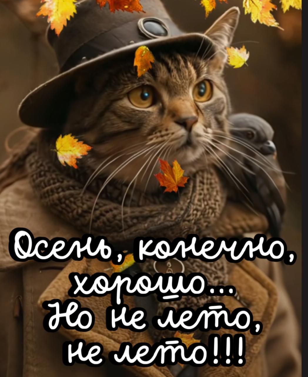 Осень, конечно, хорошо... Но не лето, не лето!!!