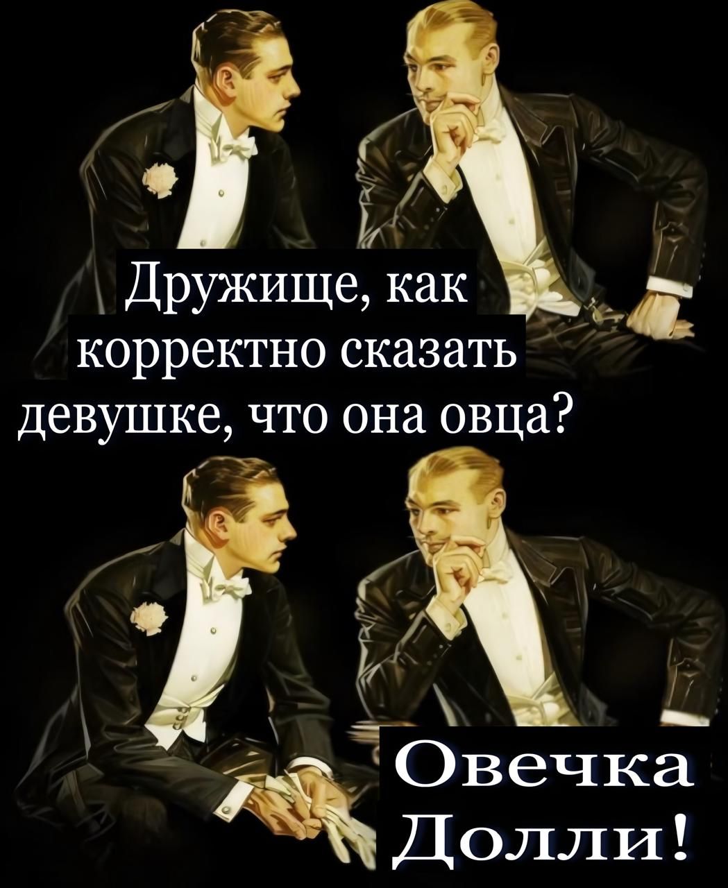 Дружище, как корректно сказать девушке, что она овца? Овечка Долли!