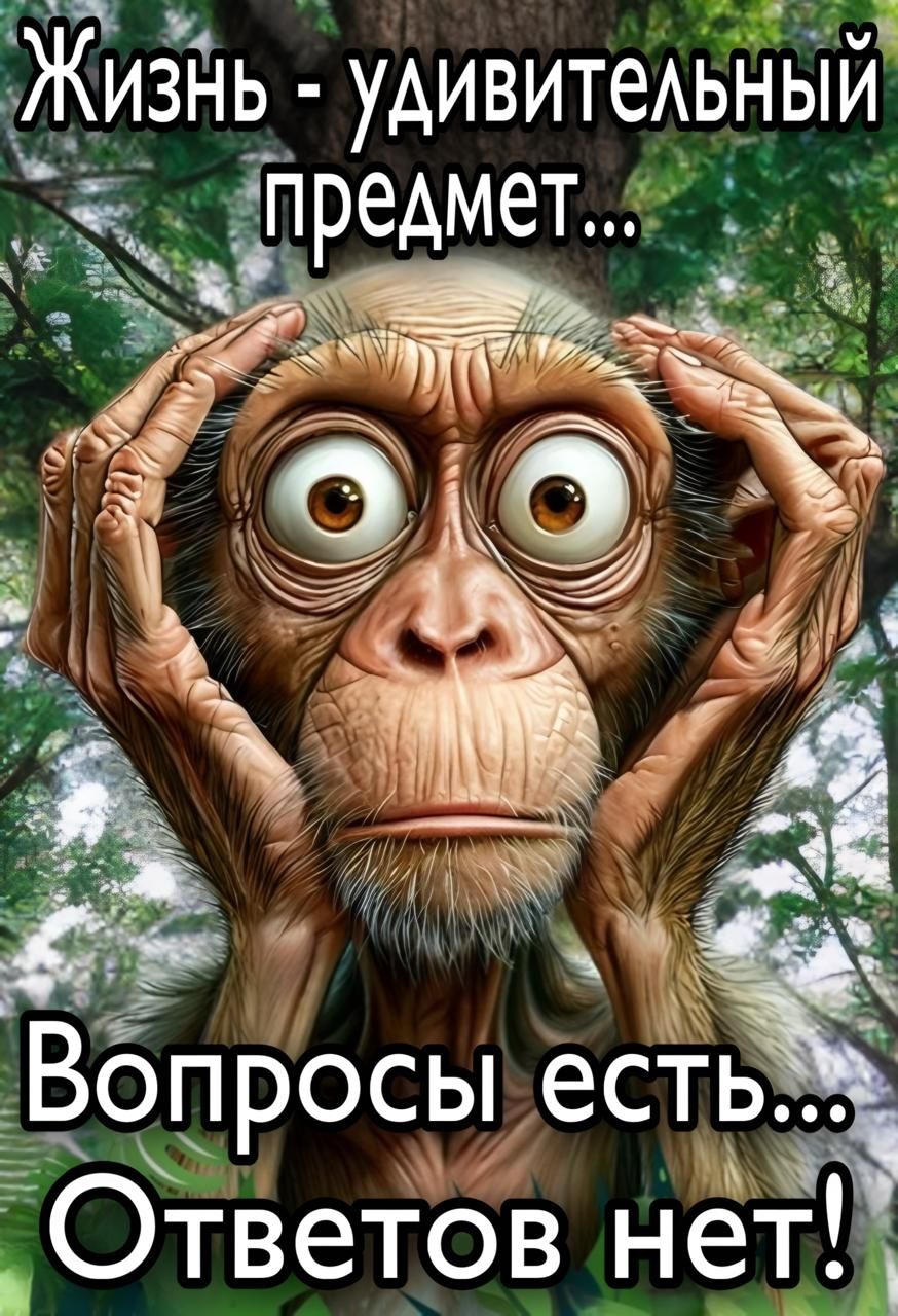 Жизнь - удивительный предмет... Вопросы есть... Ответов нет!