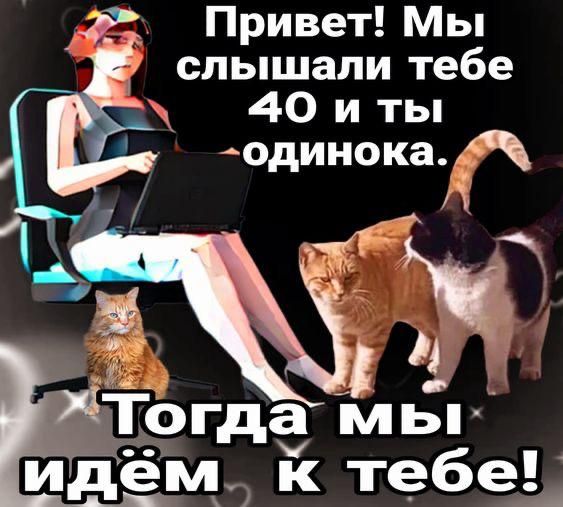 Привет! Мы слышали тебе 40 и ты одинока.
Тогда мы идём к тебе!