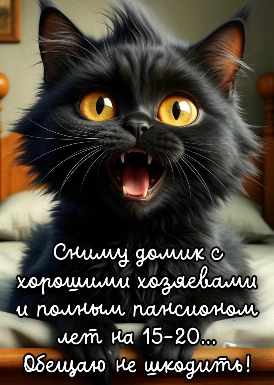 Сниму домик с хорошими хозяевами и полным пансионом лет на 15-20... Обещаю не шкодить!