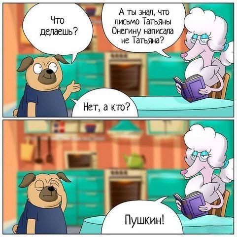 Что делаешь? Нет, а кто? А ты знал, что письмо Татьяны Онегину написала не Татьяна? Пушкин!