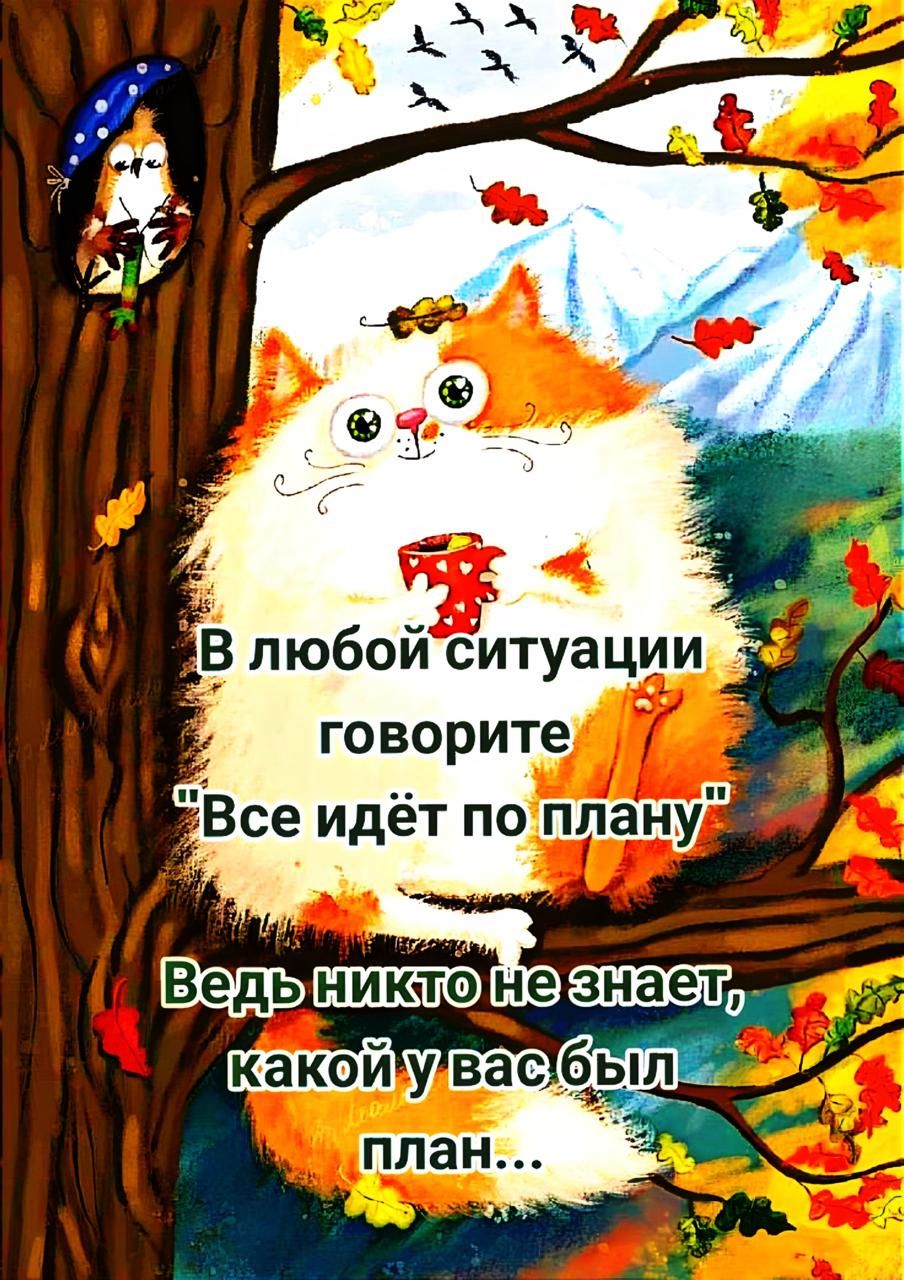 В любой ситуации говорите 