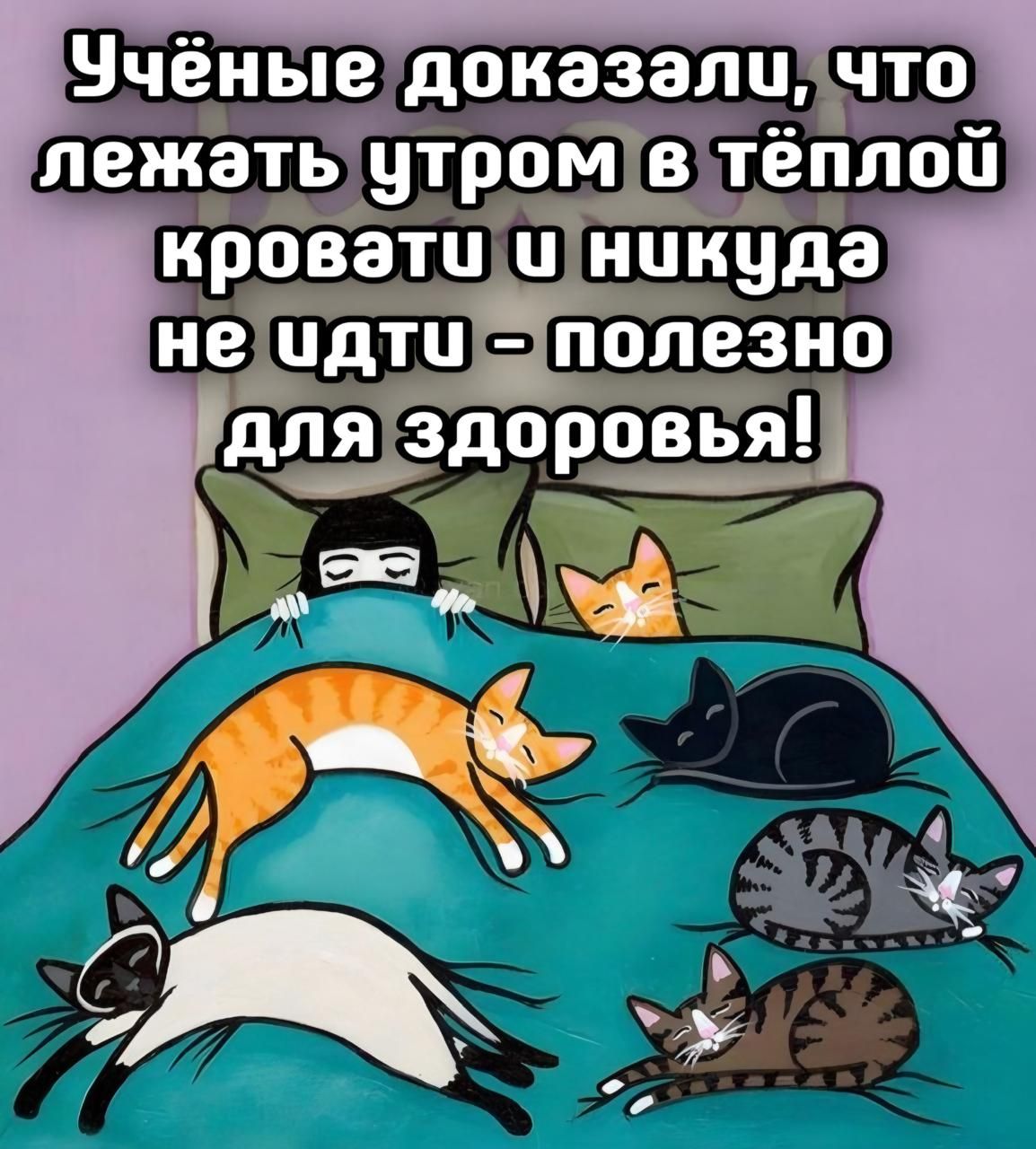 Ученые доказали, что лежать утром в теплой кровати и никуда не идти - полезно для здоровья!