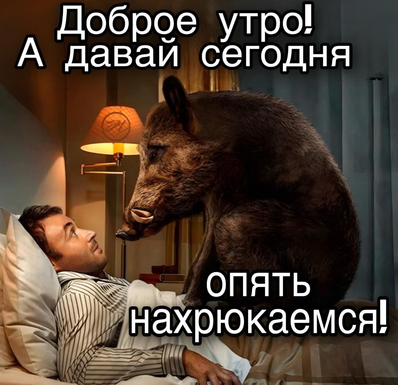 Доброе утро! А давай сегодня опять нахрюкаемся!