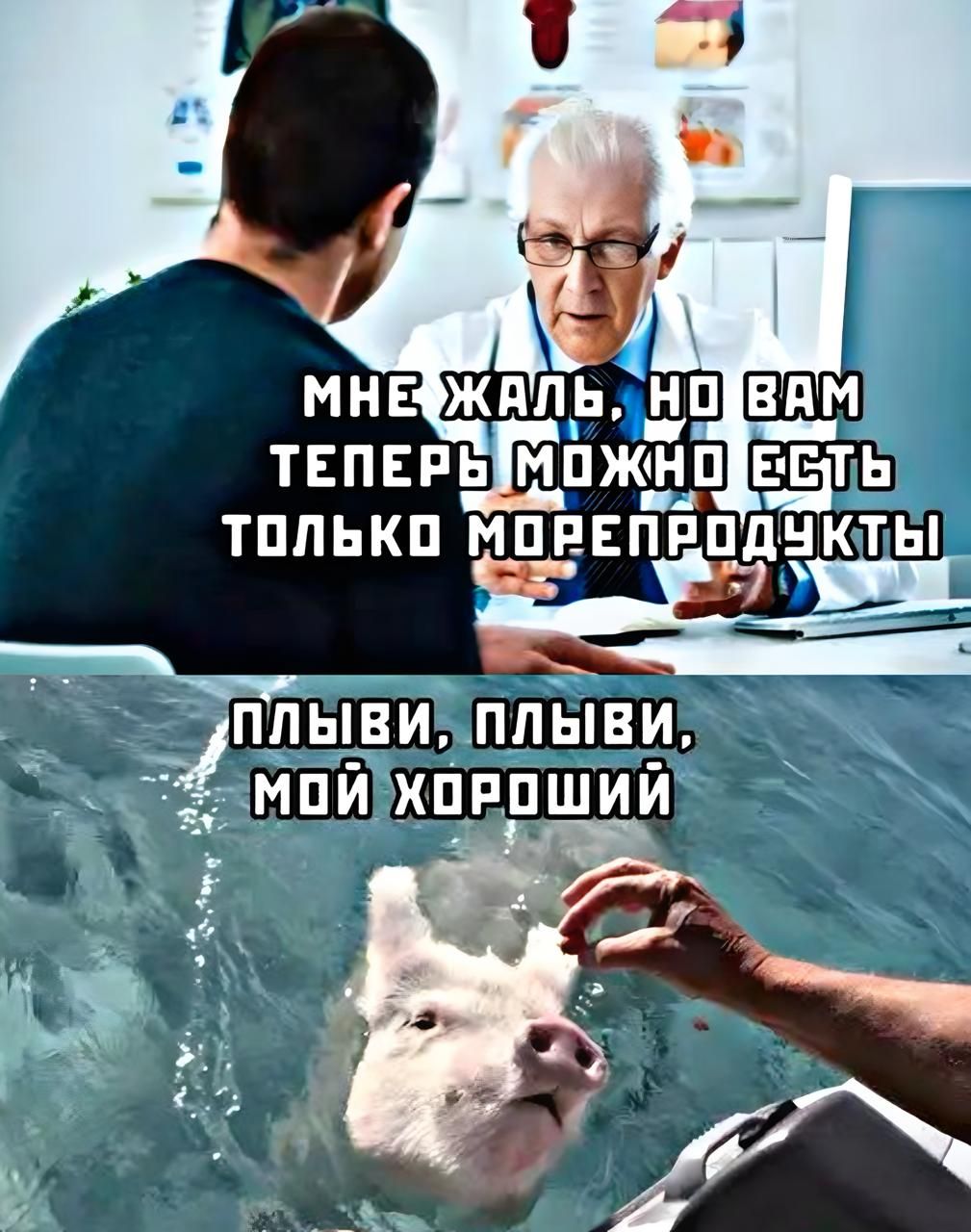 МНЕ ЖАЛЬ, НО ВАМ ТЕПЕРЬ МОЖНО ЕСТЬ ТОЛЬКО МОРЕПРОДУКТЫ
ПЛЫВИ, ПЛЫВИ, МОЙ ХОРОШИЙ