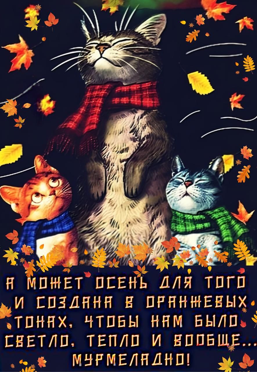 А может осень для того и создана в оранжевых тонах, чтобы нам было светло, тепло и вообще... мурмеладно!