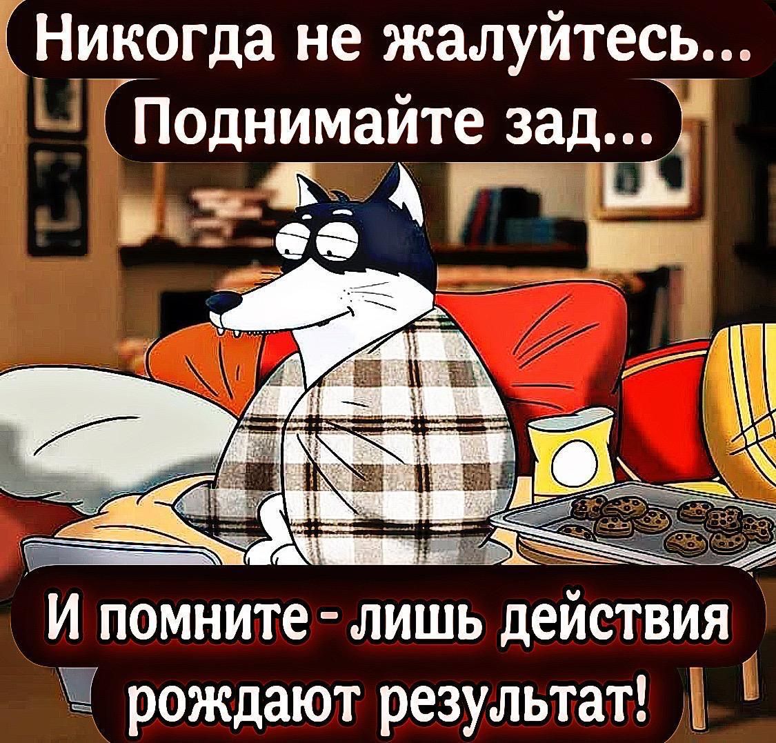 Никогда не жалуйтесь... Поднимайте зад... И помните - лишь действия рождают результат!