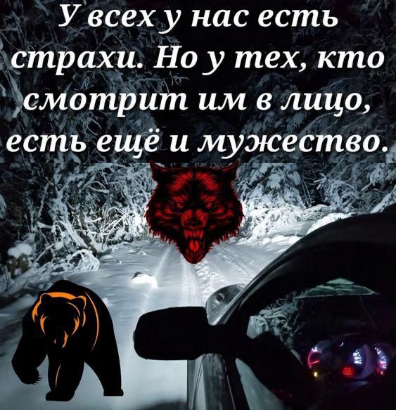 У всех у нас есть страхи. Но у тех, кто смотрит им в лицо, есть ещё и мужество.