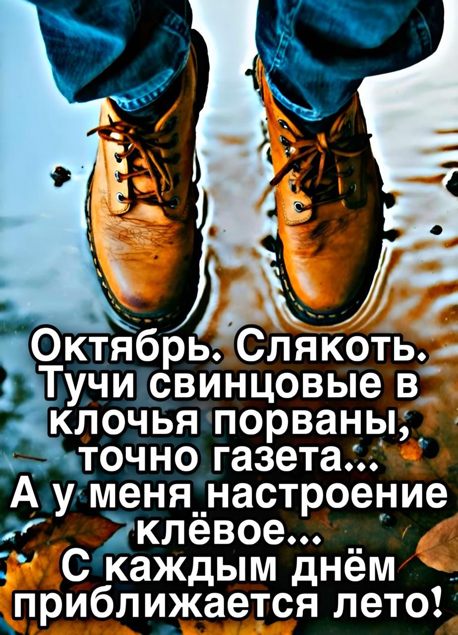 Октябрь. Слякоть.
Тучи свинцовые в ключья порваны, точно газета...
А у меня настроение клёвое...
С каждым днём приближается лето!