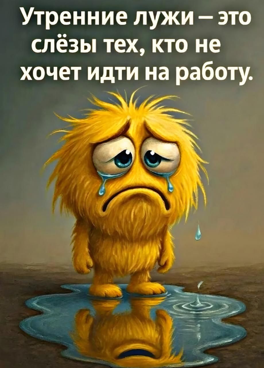 Утренние лужи – это слёзы тех, кто не хочет идти на работу.