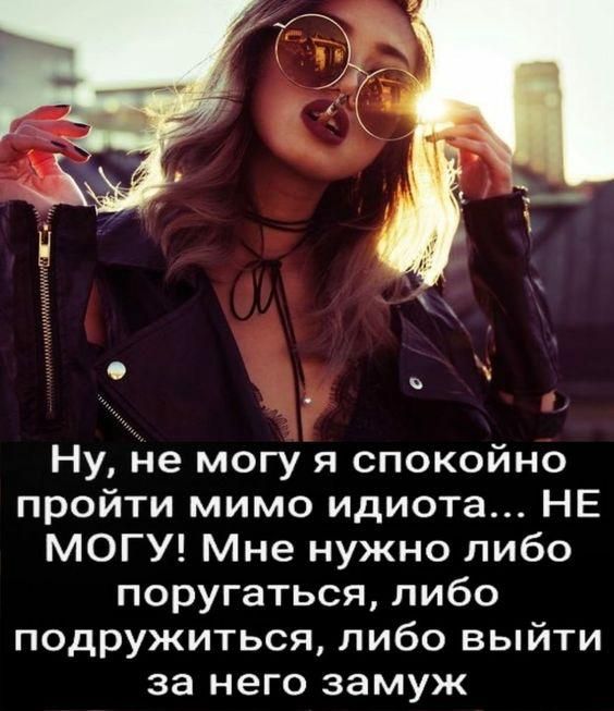 Ну, не могу я спокойно пройти мимо идиота... НЕ МОГУ! Мне нужно либо поругаться, либо подружиться, либо выйти за него замуж.