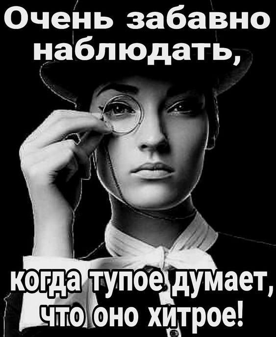 Очень забавно наблюдать,
когда тупое думает, что оно хитрое!