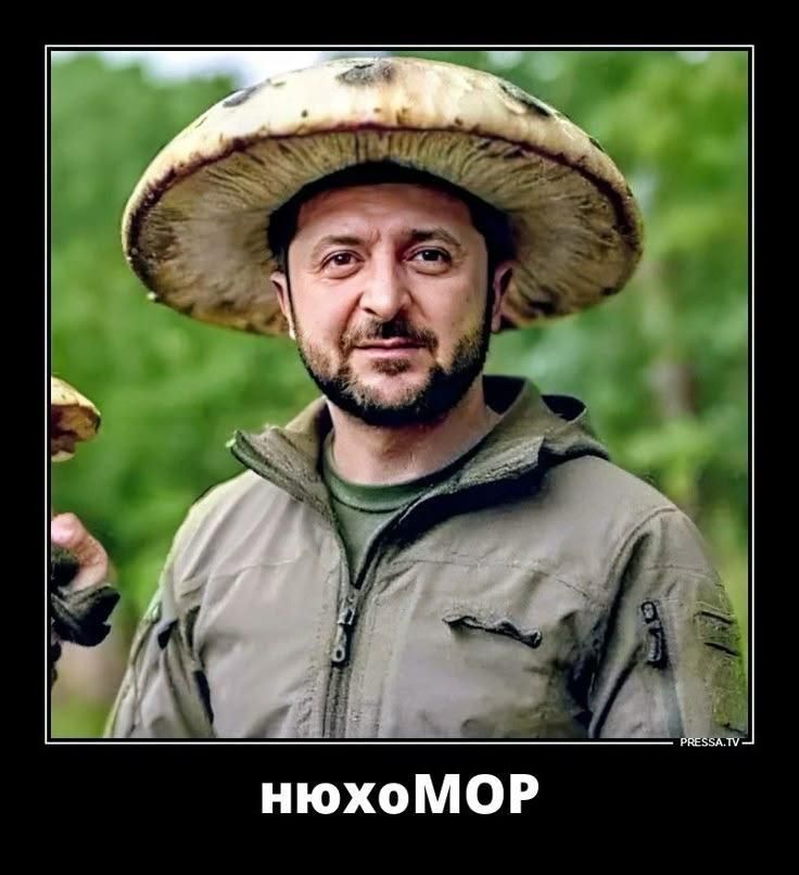 нюхоМОР